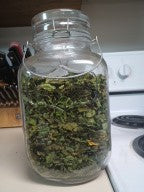 Moringa Leaves